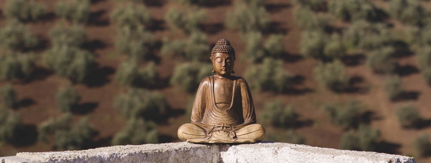 Mediation Kreuzau, Düren