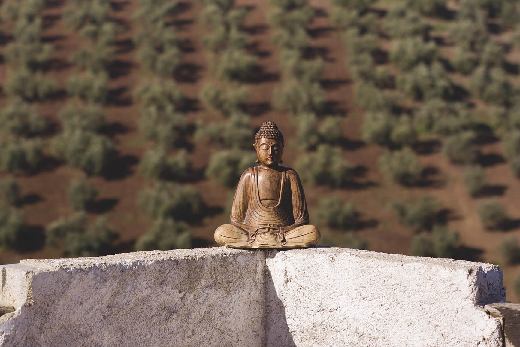Mediation Kreuzau, Düren